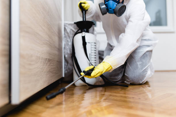 Wasp Removal Services in Nash, TX