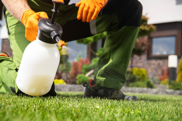 Best Best Pest Control Companies  in Nash, TX