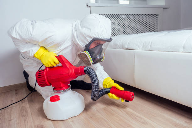 Best Commercial Pest Control Services  in Nash, TX