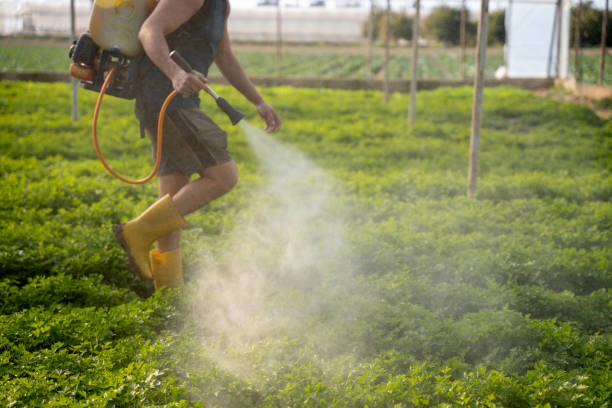 Best Best Pest Control Companies  in Nash, TX