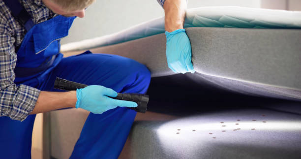 Flea Control Services in Nash, TX
