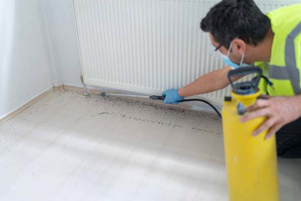 Professional Pest Control in Nash, TX