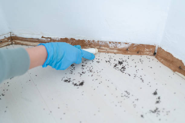  Nash, TX Pest Control Pros